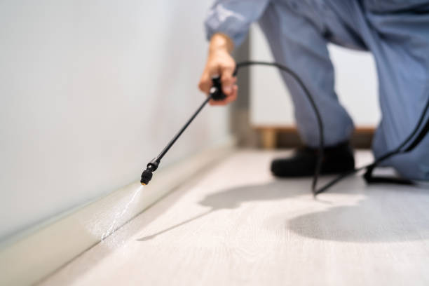 Licensed Pest Control service in Crump, TN - Show Me Pest Control