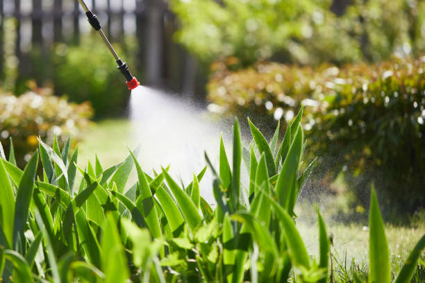 Tamper-Resistant Bait Stations for Rodents in Crump
