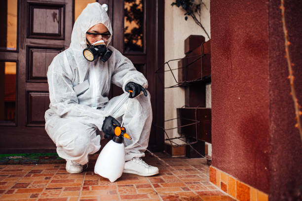 Attic and Crawl Space Rodent Treatment in Crump