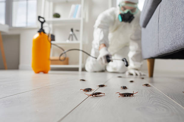 Commercial Rodent Management in Crump
